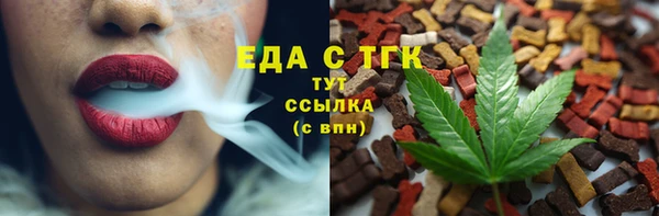 гидра Абаза