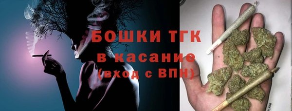 гашик Новодвинск