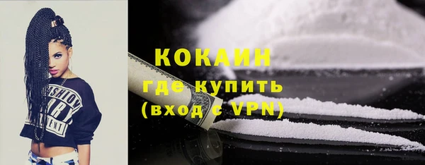 гидра Абаза
