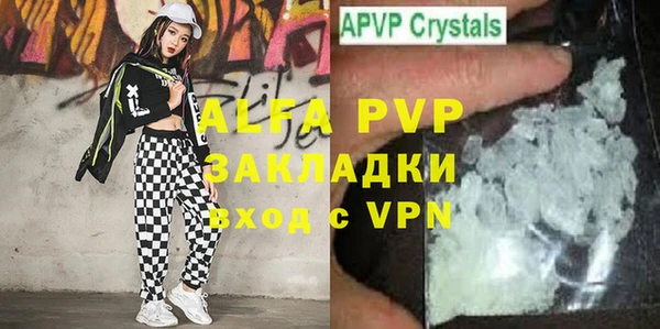 гашик Новодвинск
