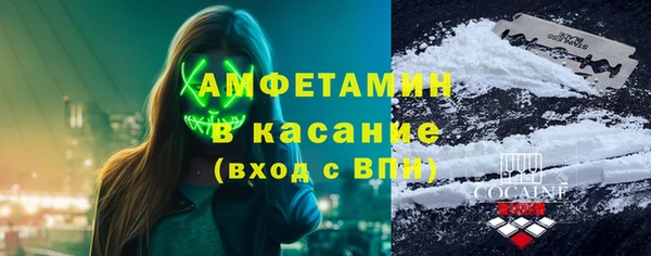 гидра Абаза