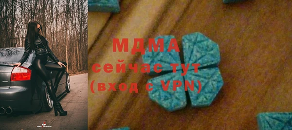 гидра Абаза