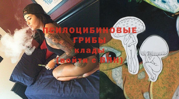 тгк Новозыбков