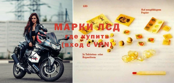 тгк Новозыбков