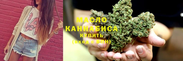гашик Новодвинск