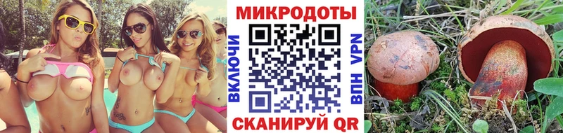 Галлюциногенные грибы ЛСД  даркнет сайт  Котовск 